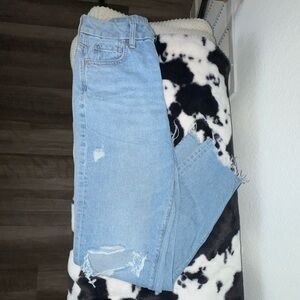 American Eagle Curvy Mom Jean